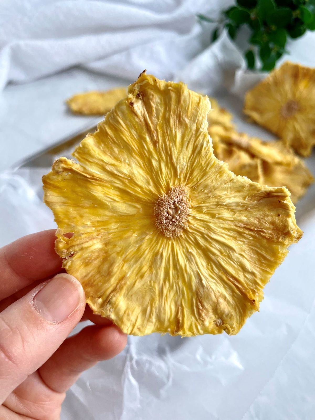 4 Pack Combo Pineapple Chips | Chilli Punch flavor | 30gm Each | Oil, Sugar, Preservatives Free.